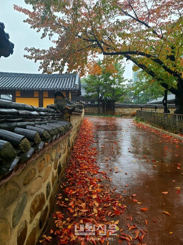 겨울비가 내리는 1일 인천,동구 화도진 공원이 만추에 이어 겨울로 향하고 있다.