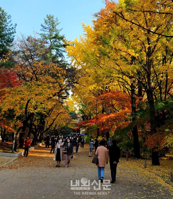 휴일인 8일 오후 서울,중구 정동 덕수궁에 많은 사람들이 오색 단풍을 찾아 입장하고 있다.