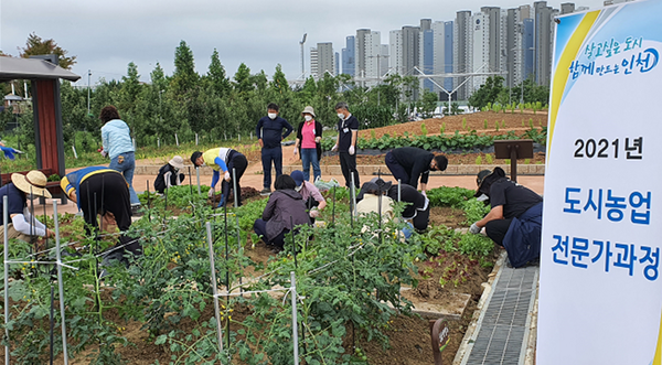 2021 도시농업 전문가 과정(사진제공=인천농업기술센터)