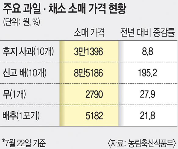 본문이미지