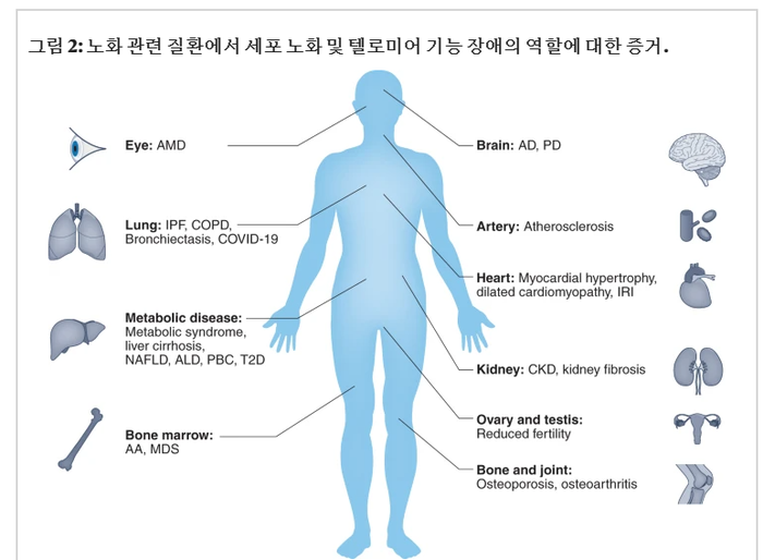 본문이미지