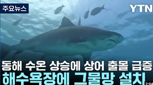 본문이미지