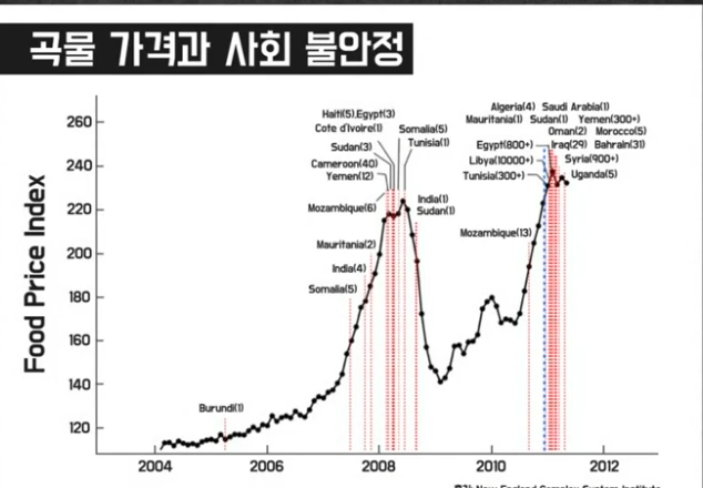 본문이미지