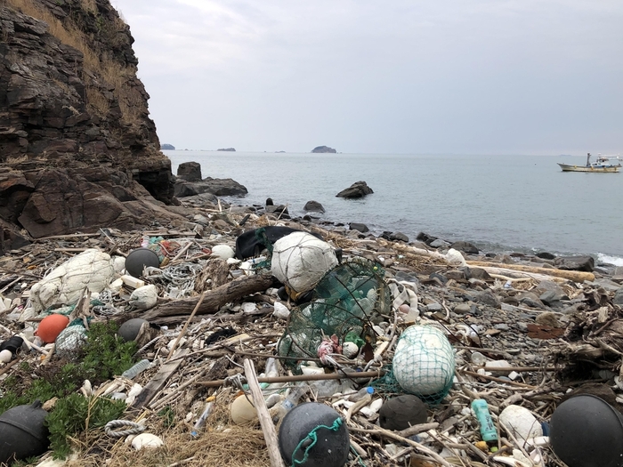 본문이미지