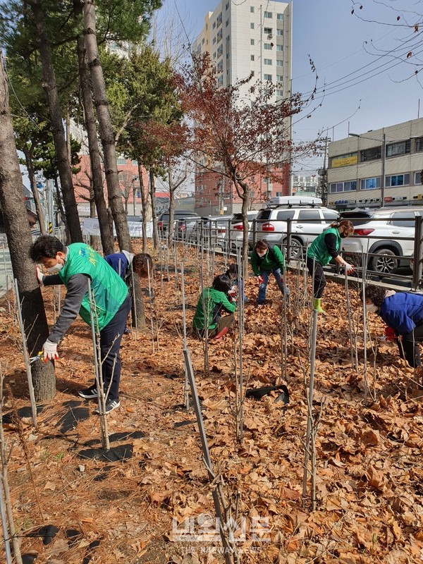 도시녹화운동 추진