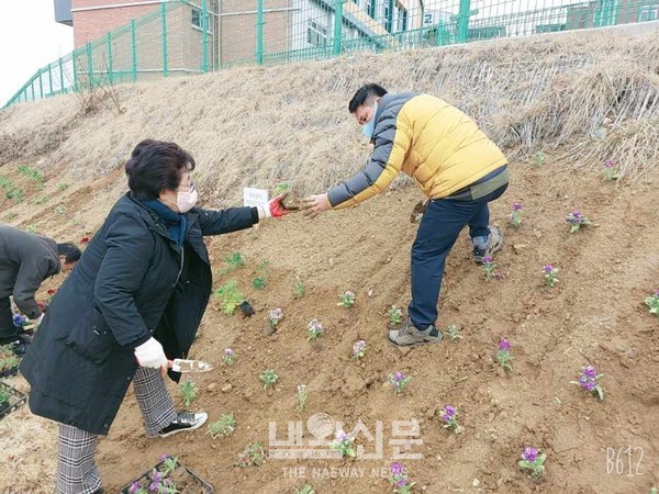 계양중학교 주변 초화 식재 2