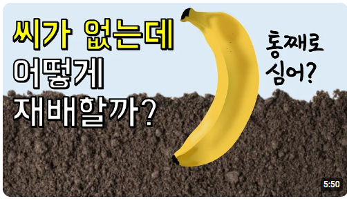 본문이미지